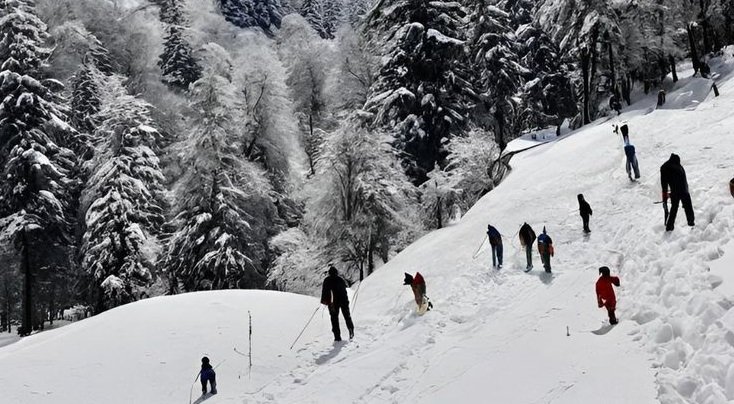 🌟 Shimla Delight Getaway – 4 Days / 3 Nights (3★ Comfort Stay)