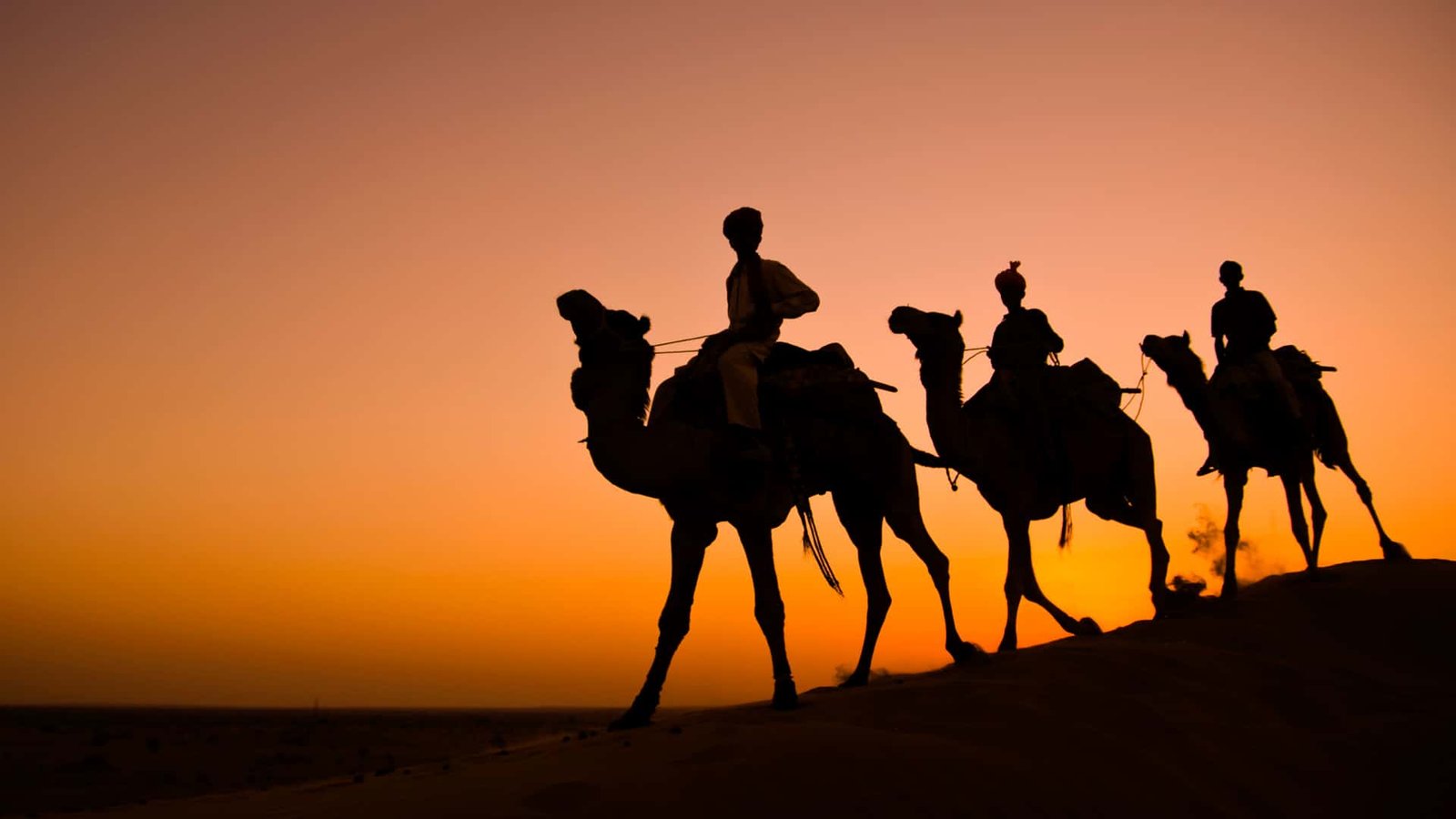 ✨ Royal Rajasthan Heritage Tour