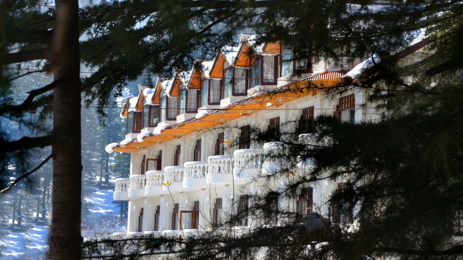 Manali Heights Hotel