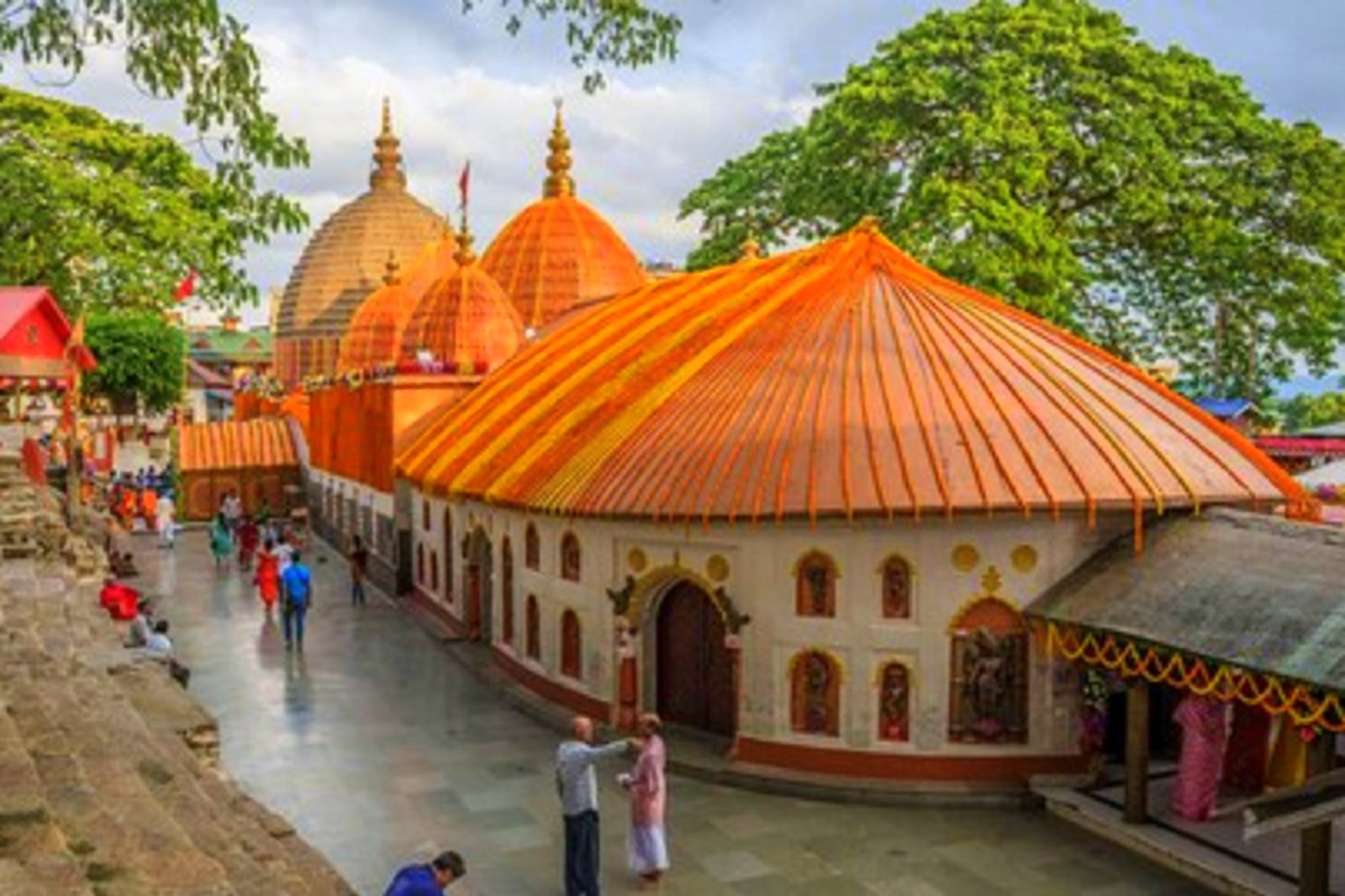 🦏 Kaziranga Wildlife & Kamakhya Blessings Tour 🛕