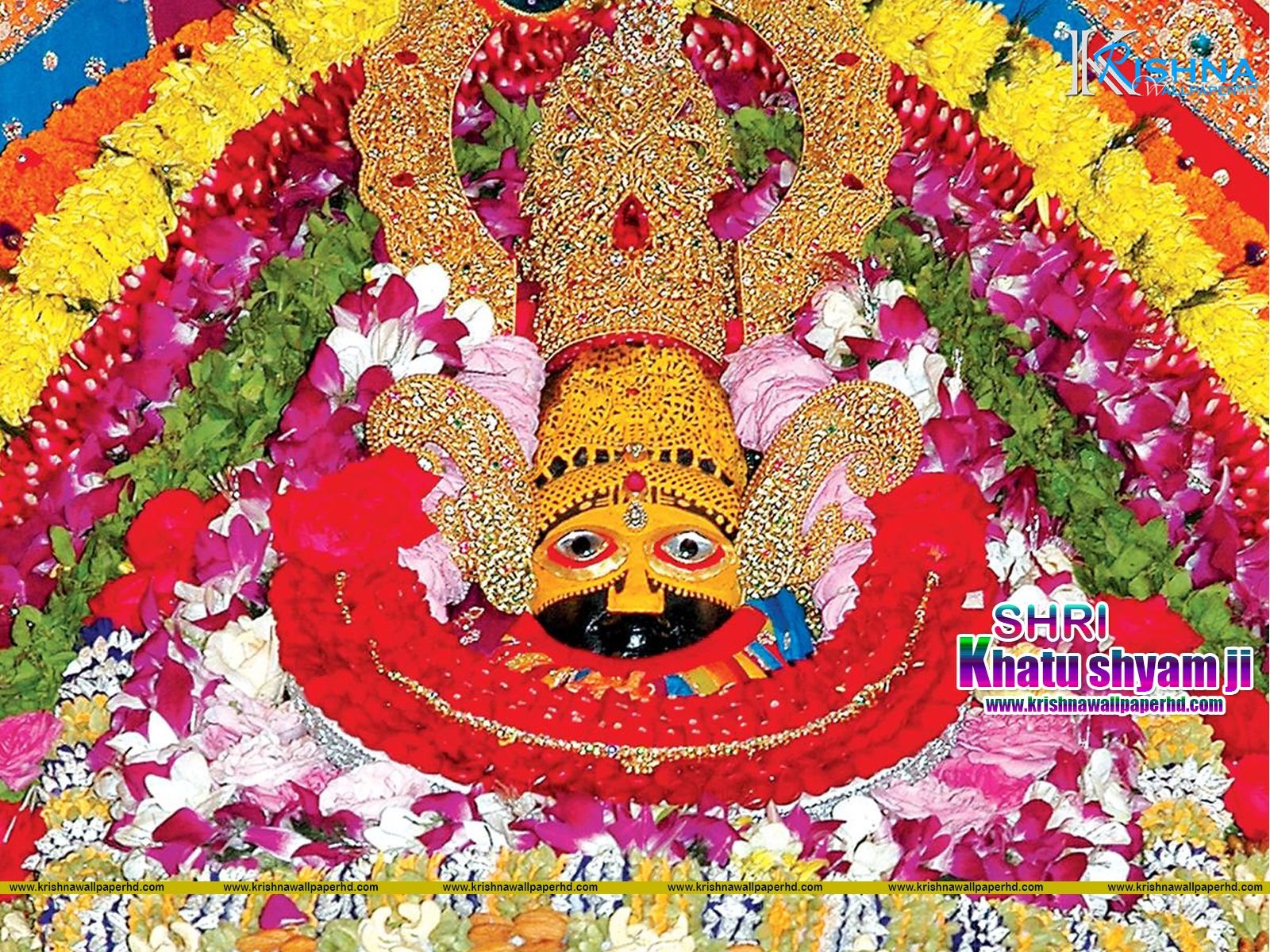 Khatu Shyam Ji and Salasar Balaji Darshan Yatra from Delhi