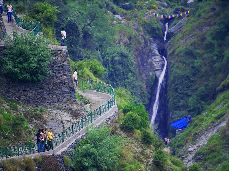 Mcleodganj: 3-Hour Guided Nature Trekking Experience