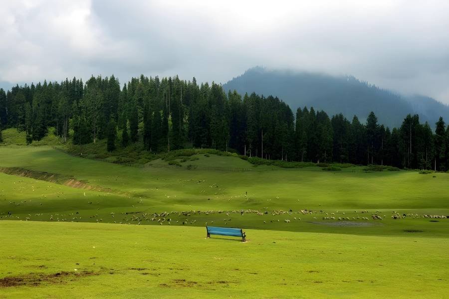 ❄️ Jammu & Kashmir Paradise – Houseboat, Gulmarg & Pahalgam Tour (reach srinagar by own)