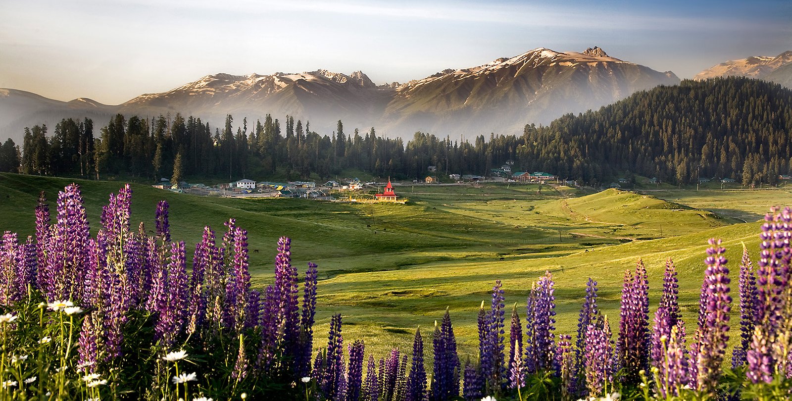 🏷️ Kashmir Paradise Escape – 6 Nights / 7 Days (3★ Comfort Stay)